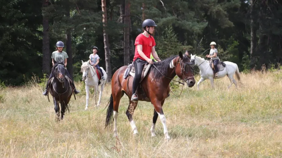 ПРОМО BF Разходка с кон и работилничка за сувенир от подкова Боровец