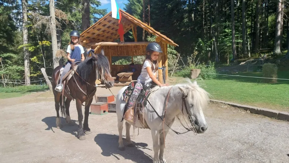 ПРОМО BF Урок по езда сред природата Приключения с животни