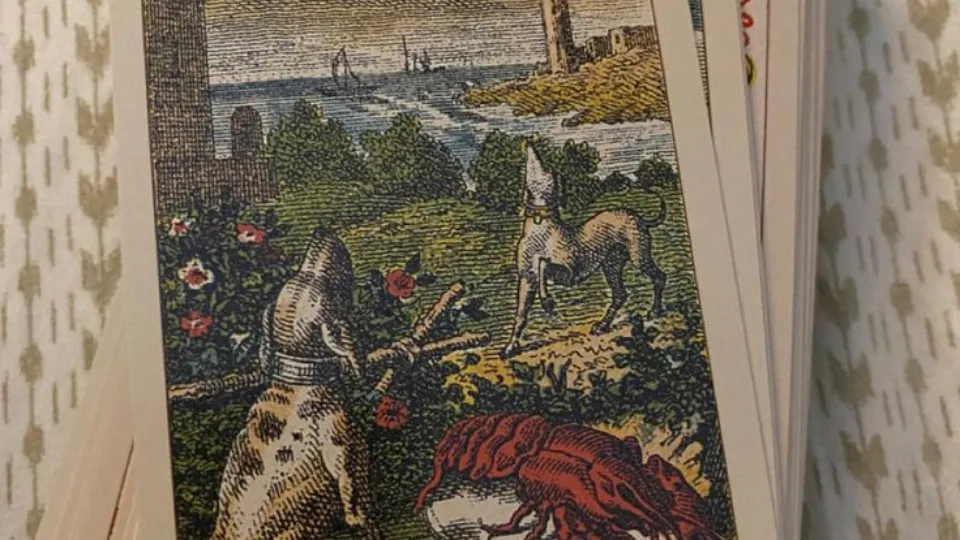 Духовно и личностно развитие Онлайн ПРОМО BF Онлайн консултация с карти Таро