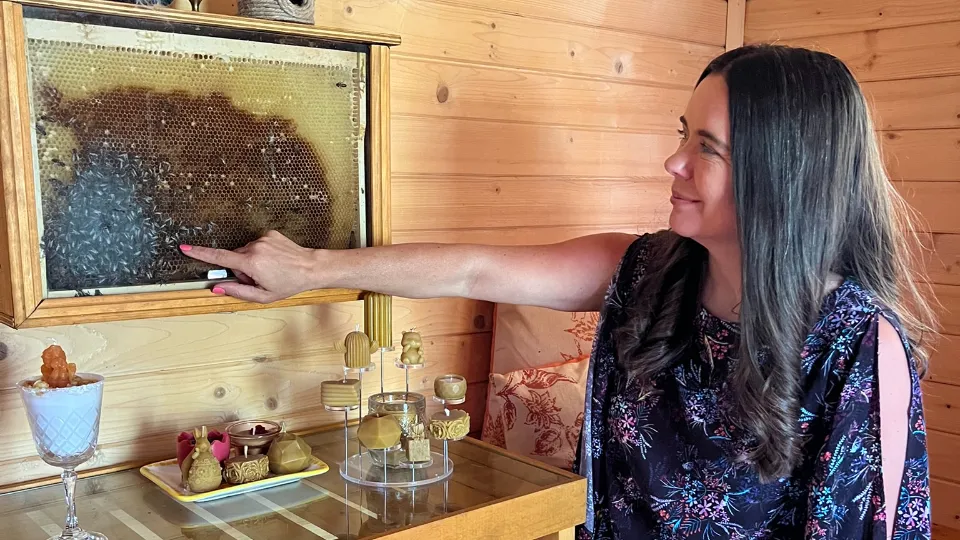 ПРОМО BF Релакс в пчелна стая София, район Павлово