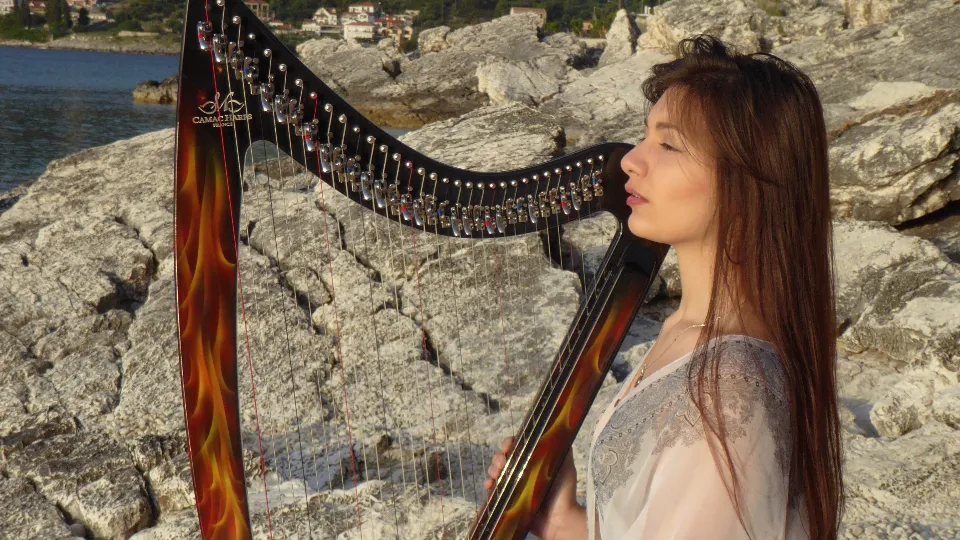 ПРОМО BF Арфа на живо за до 30 човека