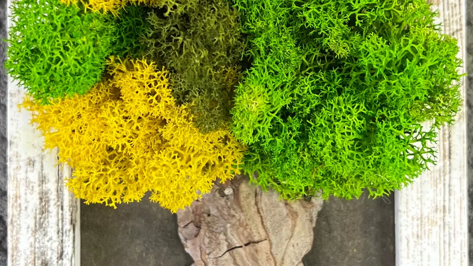 ПРОМО BF Творческа работилница със скандинавски мъх Варна