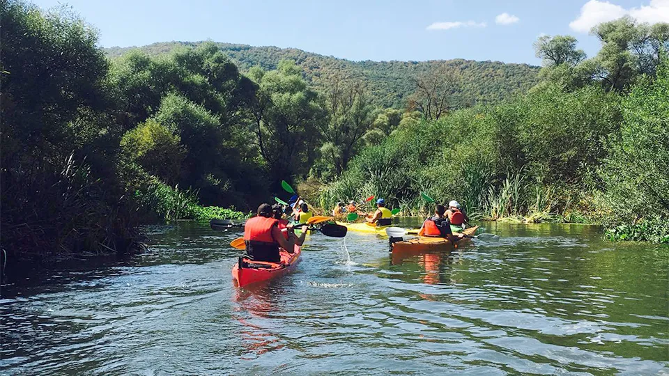 ПРОМО BF Еднодневен каякинг в спокойни води група II