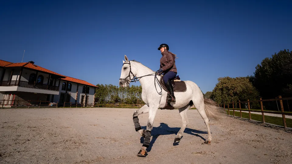 ПРОМО BF Дневен релакс със спа зона и езда за двама с. Житница, обл. Пловдив