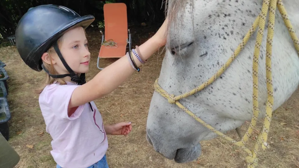 Ваучер ПРОМО BF Детски рожден ден сред природата край Своге с конна езда село Заселе, район Своге