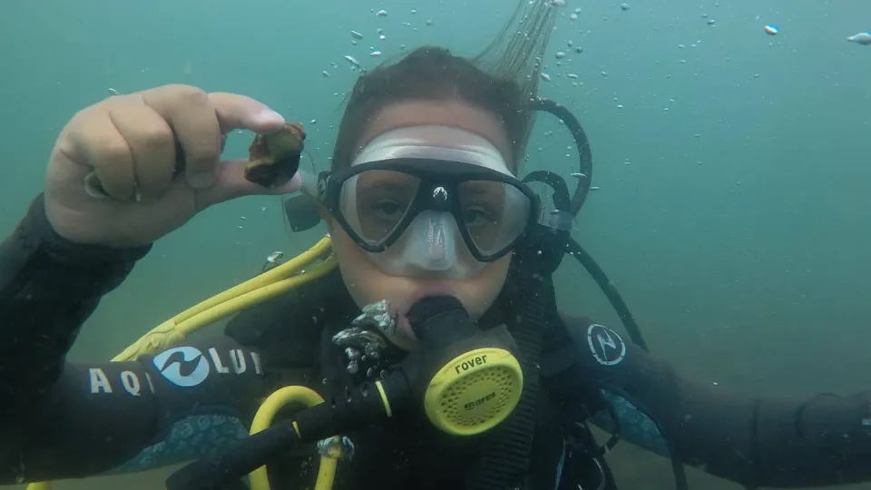 Рожден ден под водата с гмуркане, торта и заснемане район Несебър