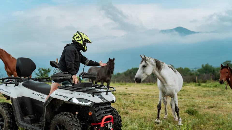 Конна езда и офроуд преживяване за двама ваучер