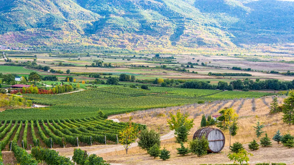Подарък Конна езда и офроуд преживяване за двама