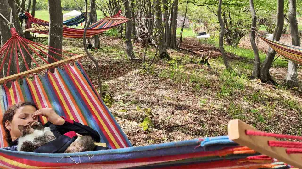 Ваучер Урок по конна езда и стрелба с лък в района на Своге район Своге