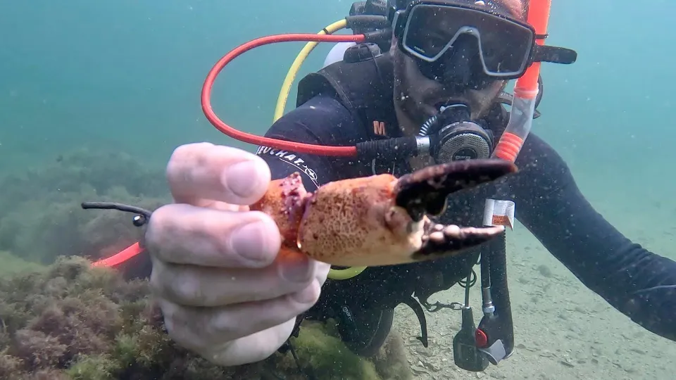 Водолазен курс за 2 дни и до 12 метра дълбочина + Видео