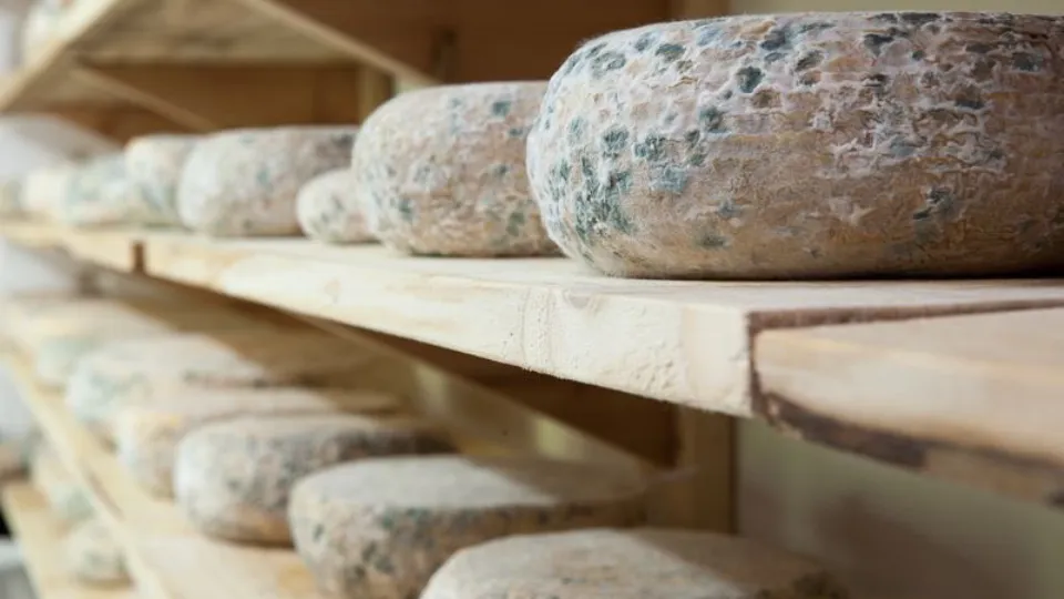 Приготвяне на сирена с Цветан Димитров от с.Черни Вит