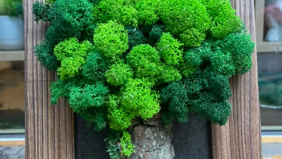 Работилница със скандинавски мъх Арт работилници