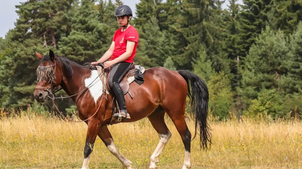 Разходка с кон и работилничка за сувенир от подкова Приключения с животни