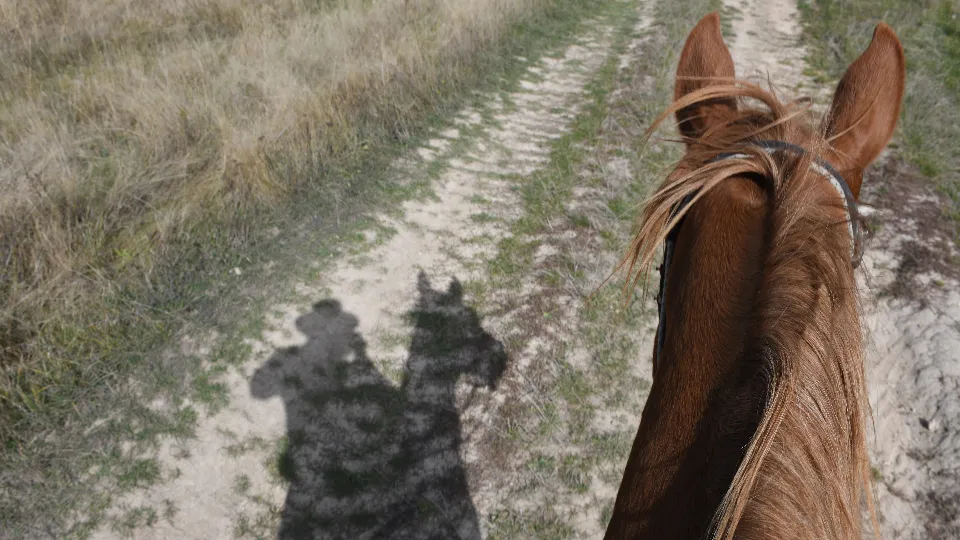 Романтична разходка на кон за двама до Черната скала Боровец