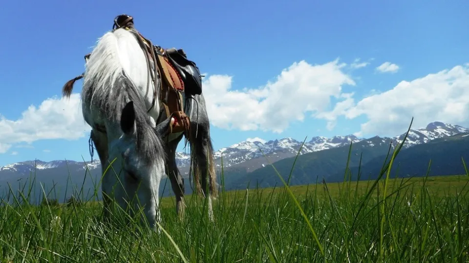 Конен поход + пикник за двама