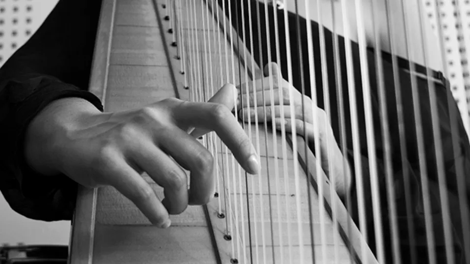 Арфа на живо за до 30 човека