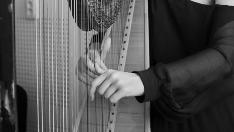 Арфа на живо за до 30 човека София и цяла България