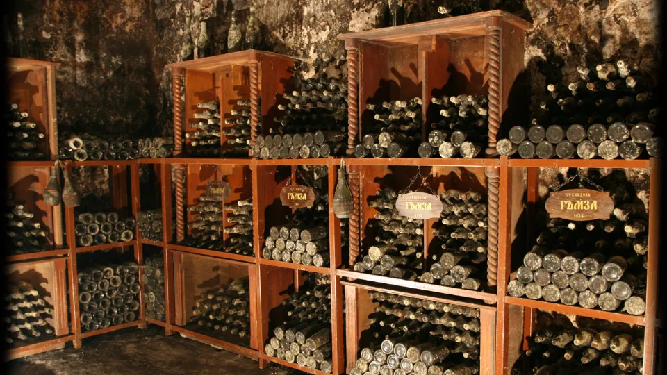 Винен тиймбилдинг с 2 винени дестинации в район В. Търново район Велико Търново