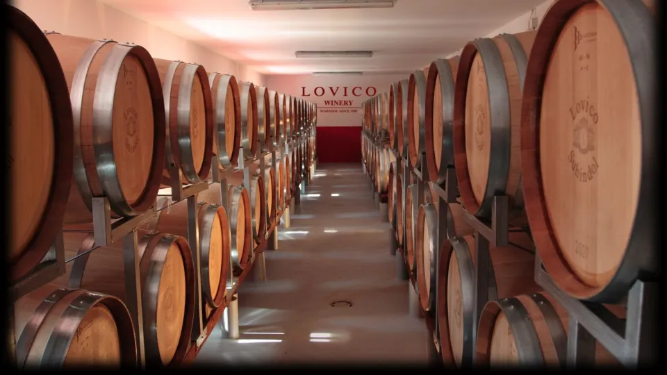 Винен тиймбилдинг с 2 винени дестинации в район В. Търново ваучер