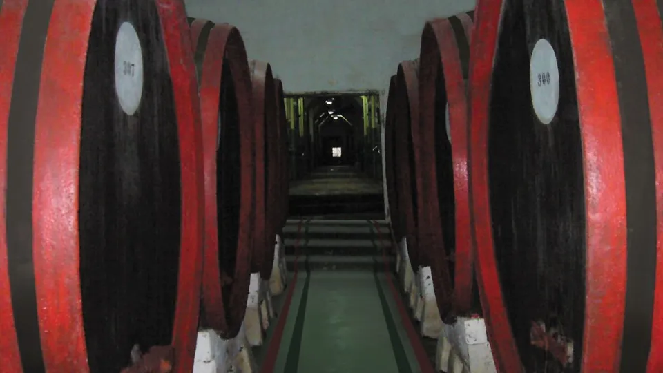 Винен тиймбилдинг с 2 винени дестинации в район В. Търново Винени турове и дегустации