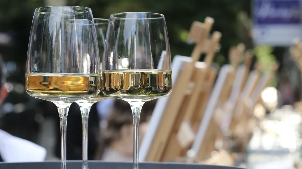 Дегустация на бутикови български вина в сърцето на София Винени турове и дегустации