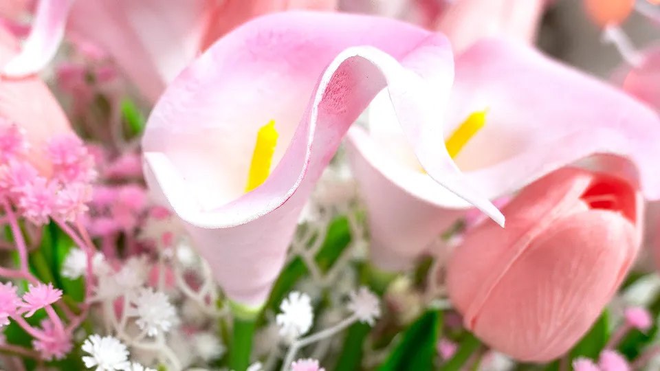 Фотосесия за 8 Март ваучер