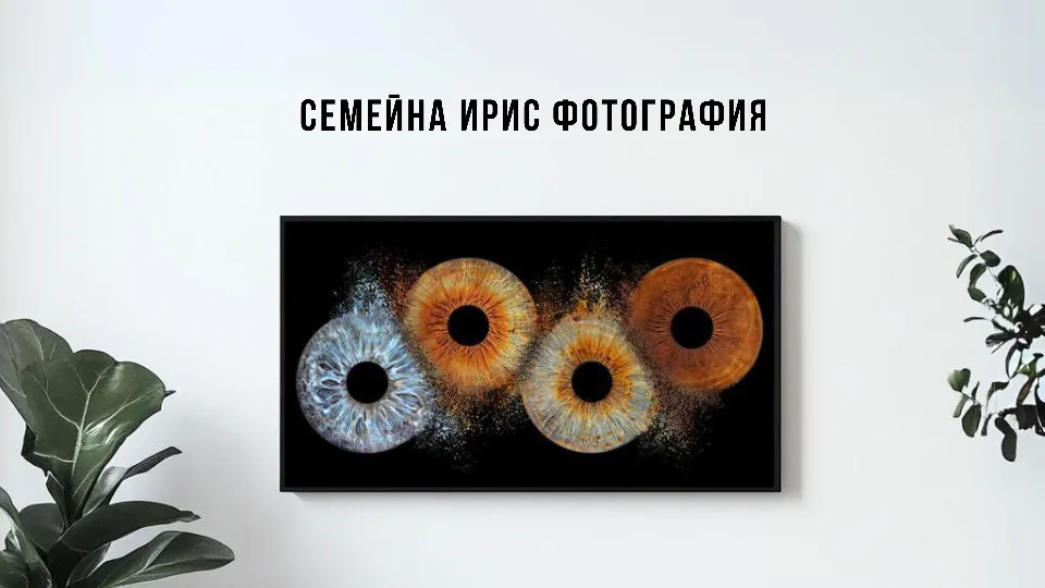 sky-vision-image